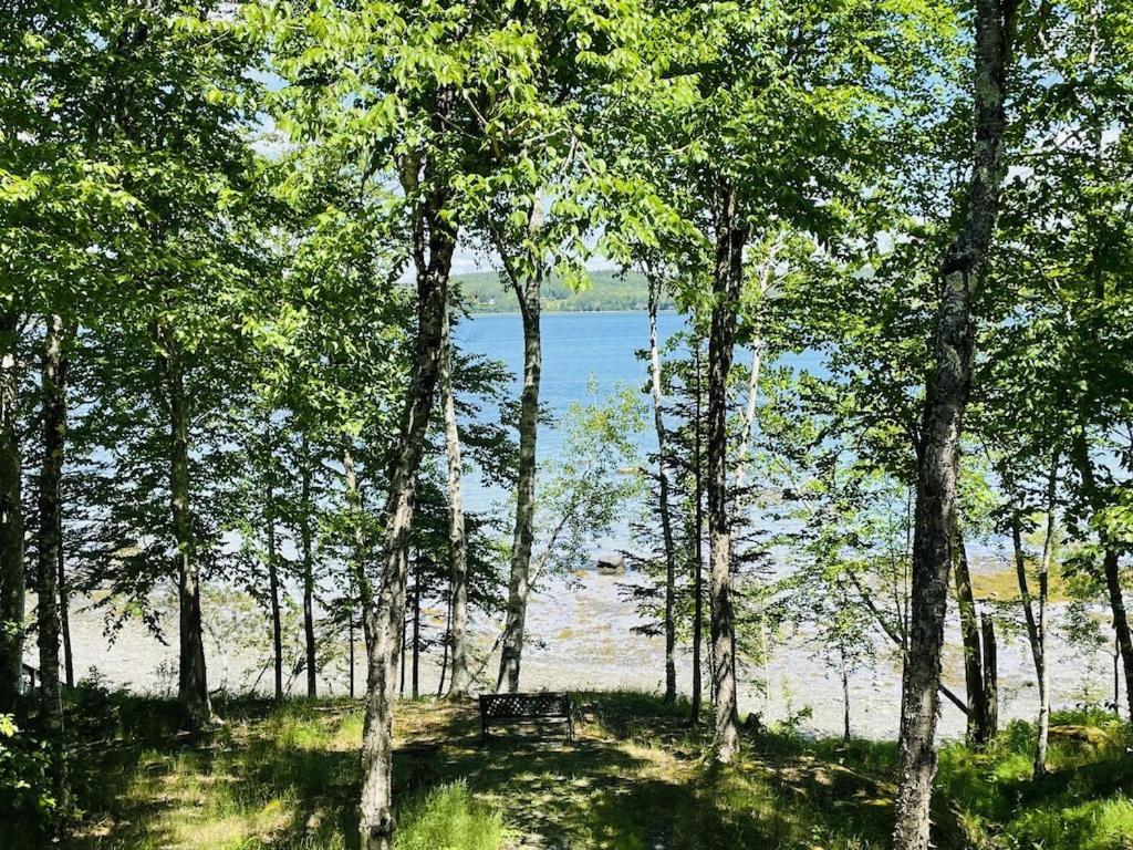 Chalet With A Private Beach In Acadia National Park Bar Harbor Kültér fotó